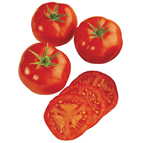 100 Organic Early Girl Tomato Seeds 50 Day Home Garden Vegetable Plant Seed 